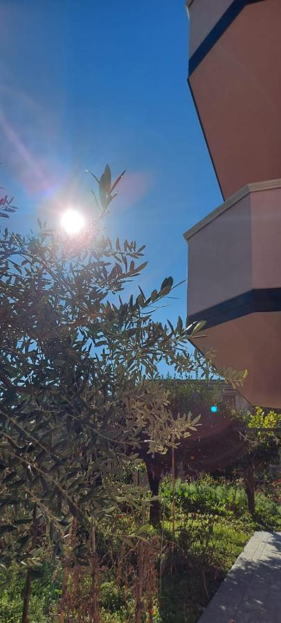 Apartment L'ulivo Brancaleone Marina